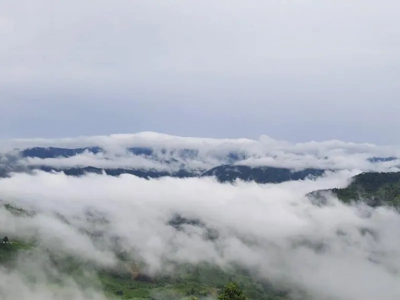 เที่ยวดอยช้าง เป็นร้านประจำของคนท้องถิ่นและเป็นร้านยอดฮิตของเหล่านักเดินทางที่ได้แวะเวียนไปเมืองเชียงราย