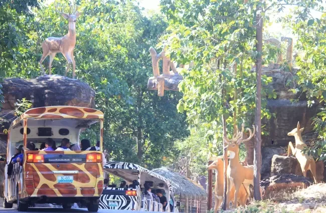 สวนสัตว์ 