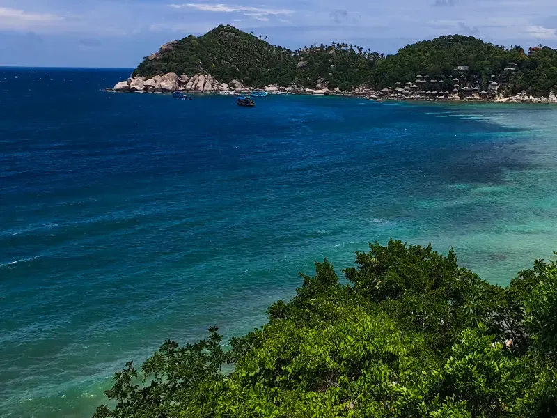 ดำน้ำดูปะการัง เกาะเต่า ดำน้ำดูปะการัง เกาะเต่า