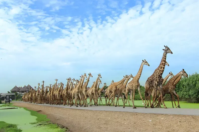 10 ที่เที่ยว ในกรุงเทพยอดนิยมต้องไปเช็คอิน! (Must places to
visit in Bangkok)