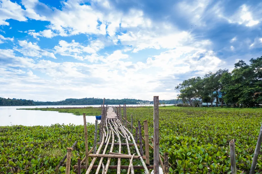 เขตห้ามล่าสัตว์ป่าหนองบงคาย