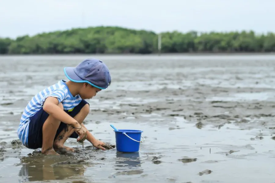 ดอนหอยหลอด