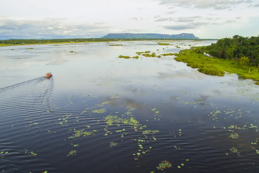 เขตห้ามล่าสัตว์ป่าบึงโขงหลง