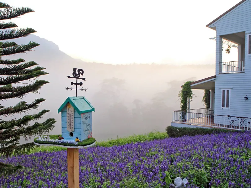 The blue sky garden จุดถ่ายรูปเช็คอิน