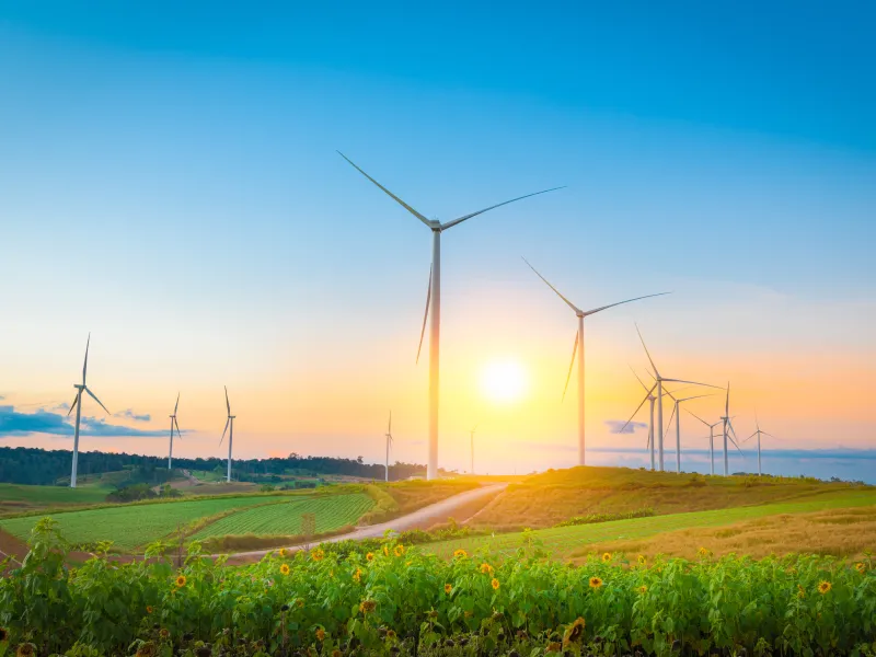 ทุ่งกังหันลมเขาค้อ