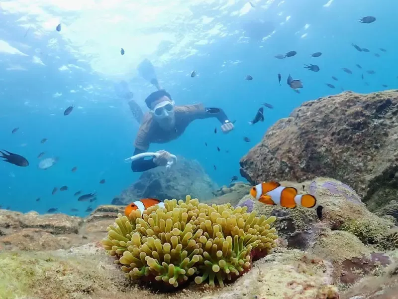 นั่งเรือชมวิว ถ่ายรูปใต้น้ำ นั่งเรือชมวิว ถ่ายรูปใต้น้ำ