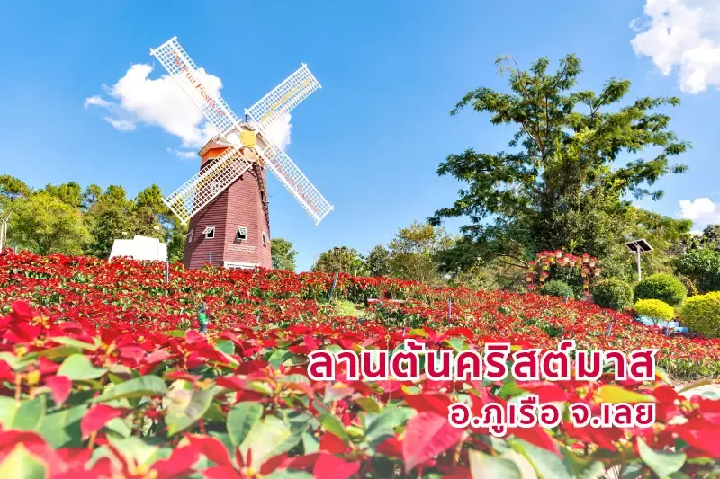 ที่เที่ยว 7 จุดหมายชมดอกไม้งาม ยามหนาวทั่วไทย ที่เที่ยว 7 จุดหมายชมดอกไม้งาม ยามหนาวทั่วไทย