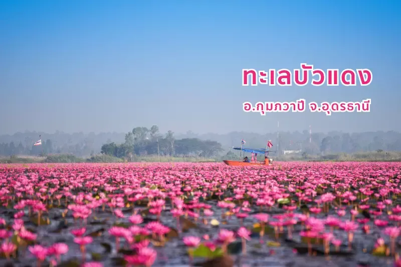 ที่เที่ยว 7 จุดหมายชมดอกไม้งาม ยามหนาวทั่วไทย ที่เที่ยว 7 จุดหมายชมดอกไม้งาม ยามหนาวทั่วไทย