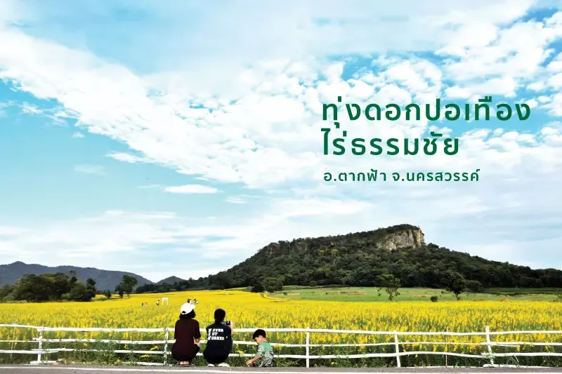 ที่เที่ยว 7 จุดหมายชมดอกไม้งาม ยามหนาวทั่วไทย ที่เที่ยว 7 จุดหมายชมดอกไม้งาม ยามหนาวทั่วไทย