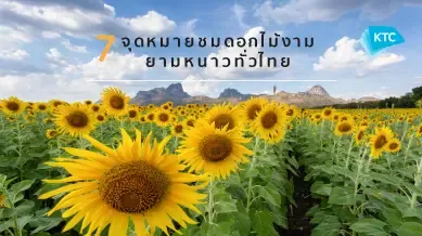 7 จุดหมายชมดอกไม้งาม ยามหนาวทั่วไทย (The Best Flower in Thailand)