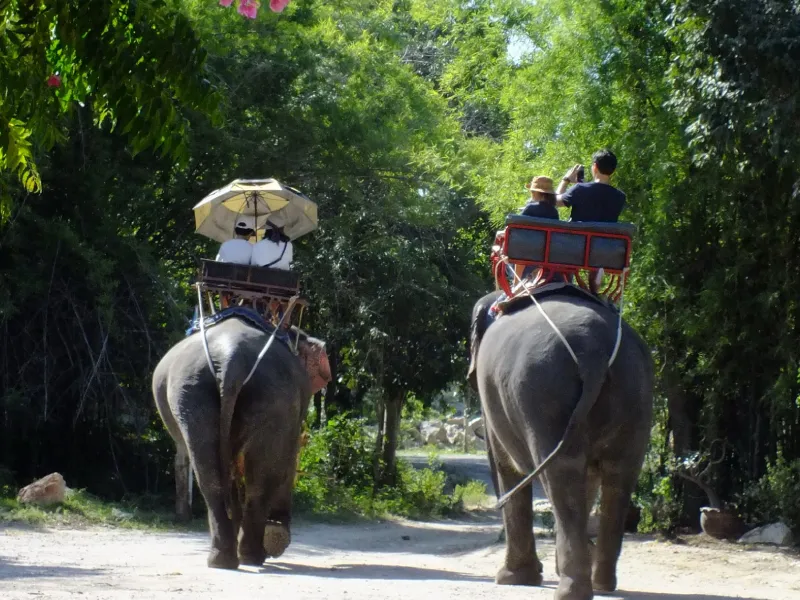 หมู่บ้านช้างหัวหินที่เที่ยวหัวหินยอดฮิต หมู่บ้านช้างหัวหินที่เที่ยวหัวหินยอดฮิต