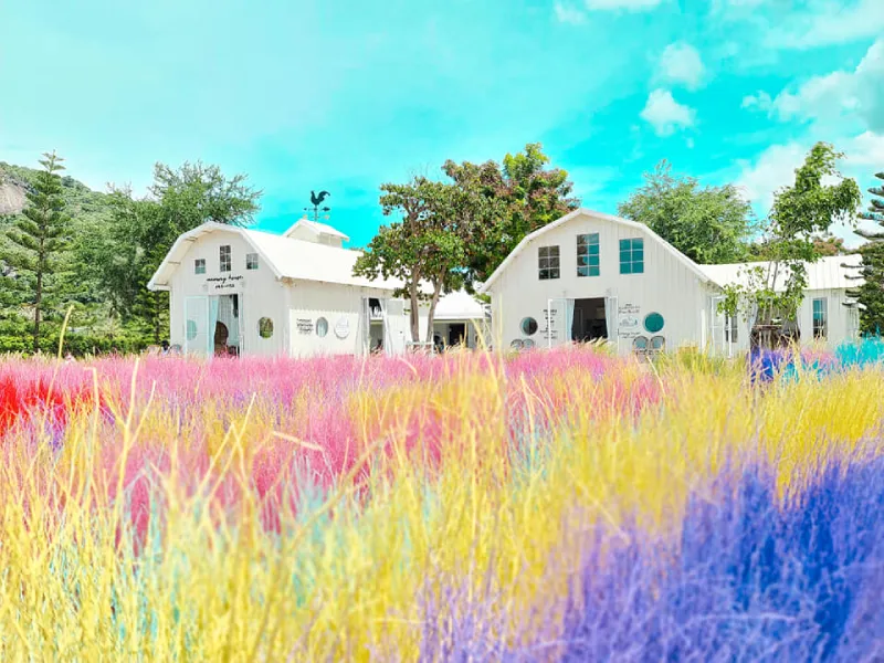 จอร์จทาวน์ ที่เที่ยวปีนัง ที่เที่ยวสิงคโปร์ จอร์จทาวน์ ที่เที่ยวปีนัง ที่เที่ยวสิงคโปร์