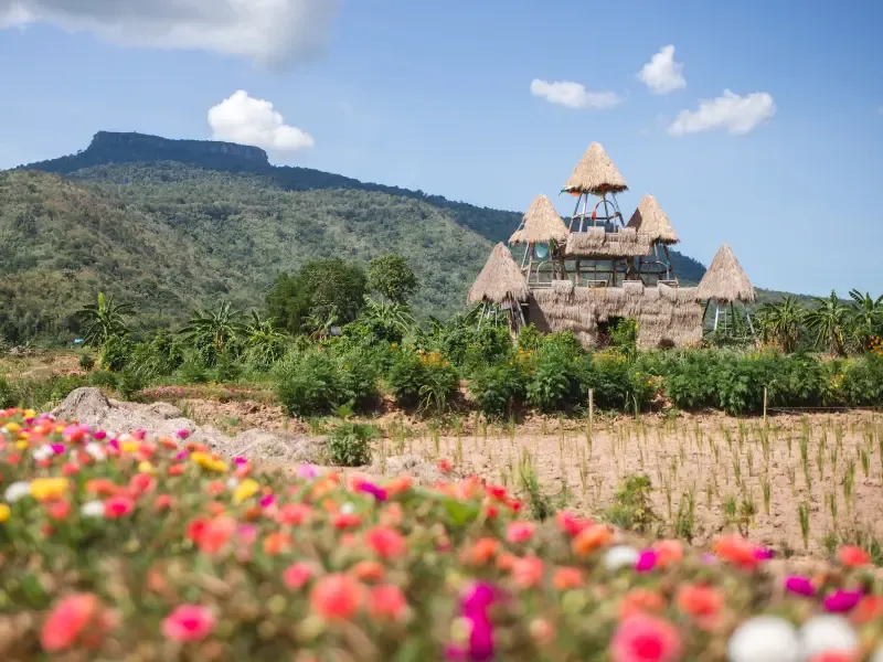 เมืองมอนทรีออล ที่เที่ยวประเทศแคนาดา