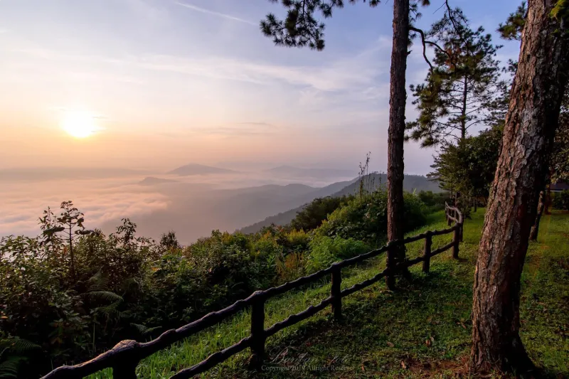 เมืองมอนทรีออล ที่เที่ยวประเทศแคนาดา