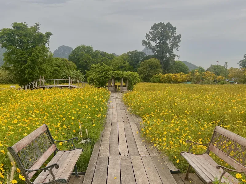 ร้านกระเพรา & คอฟฟี่ ร้านคาเฟ่ ที่ถ่ายรูปลพบุรี