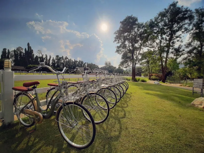 เดอะ ซีนเนอรี วินเทจ ฟาร์ม ที่เที่ยวราชบุรี