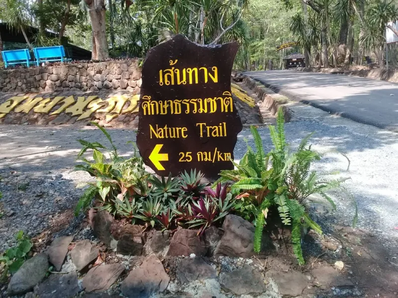 เที่ยวภูกระดึงเดินเส้นทางศึกษาธรรมชาติ