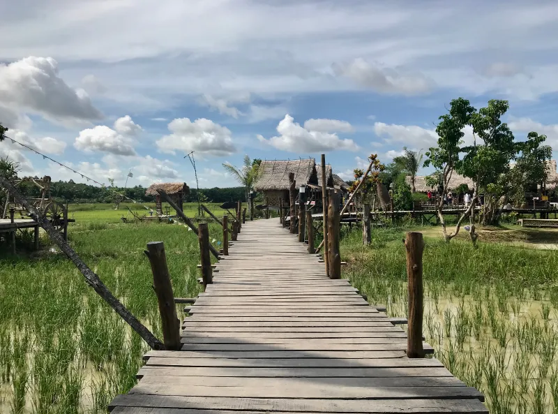 นาโปแก นาโปแก