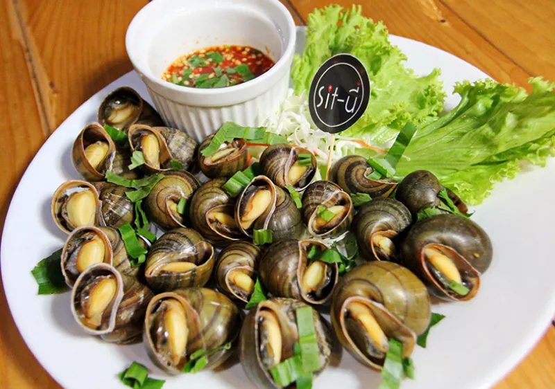 Sit - นี่ Sit - นี่