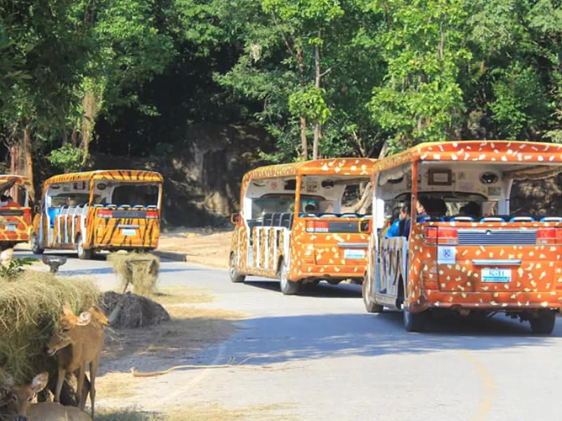 สวนสัตว์ขอนแก่น เที่ยวสวนสัตว์ในภาคอีสาน