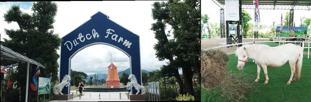 CHIANG-MAIS-TOP-3-SCENIC-ROUTES10