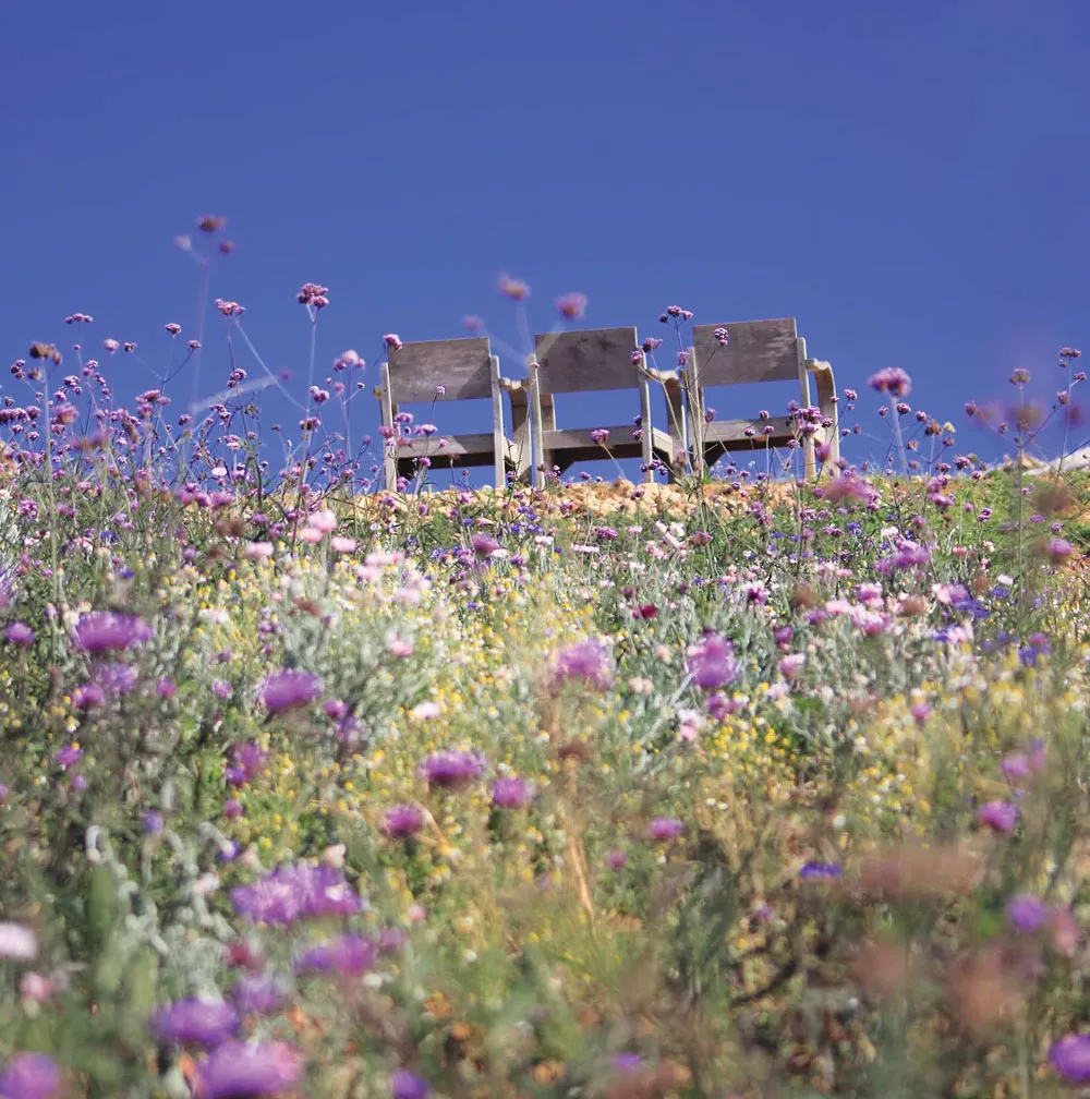 CHIANG-MAIS-TOP-3-SCENIC-ROUTES2