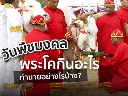 วันพืชมงคล 2569 พระโคกินอะไร ทำนายอย่างไรบ้าง? 