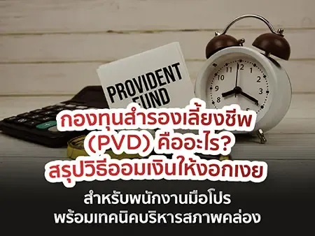 กองทุนสำรองเลี้ยงชีพ (PVD) คืออะไร? สรุปวิธีออมเงินให้งอกเงย พร้อมเทคนิคบริหารสภาพคล่องสำหรับพนักงานมือโปร